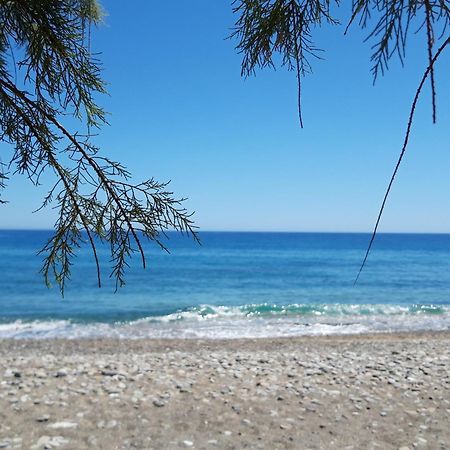 Crete Essence Villas - Makrygialos Room photo